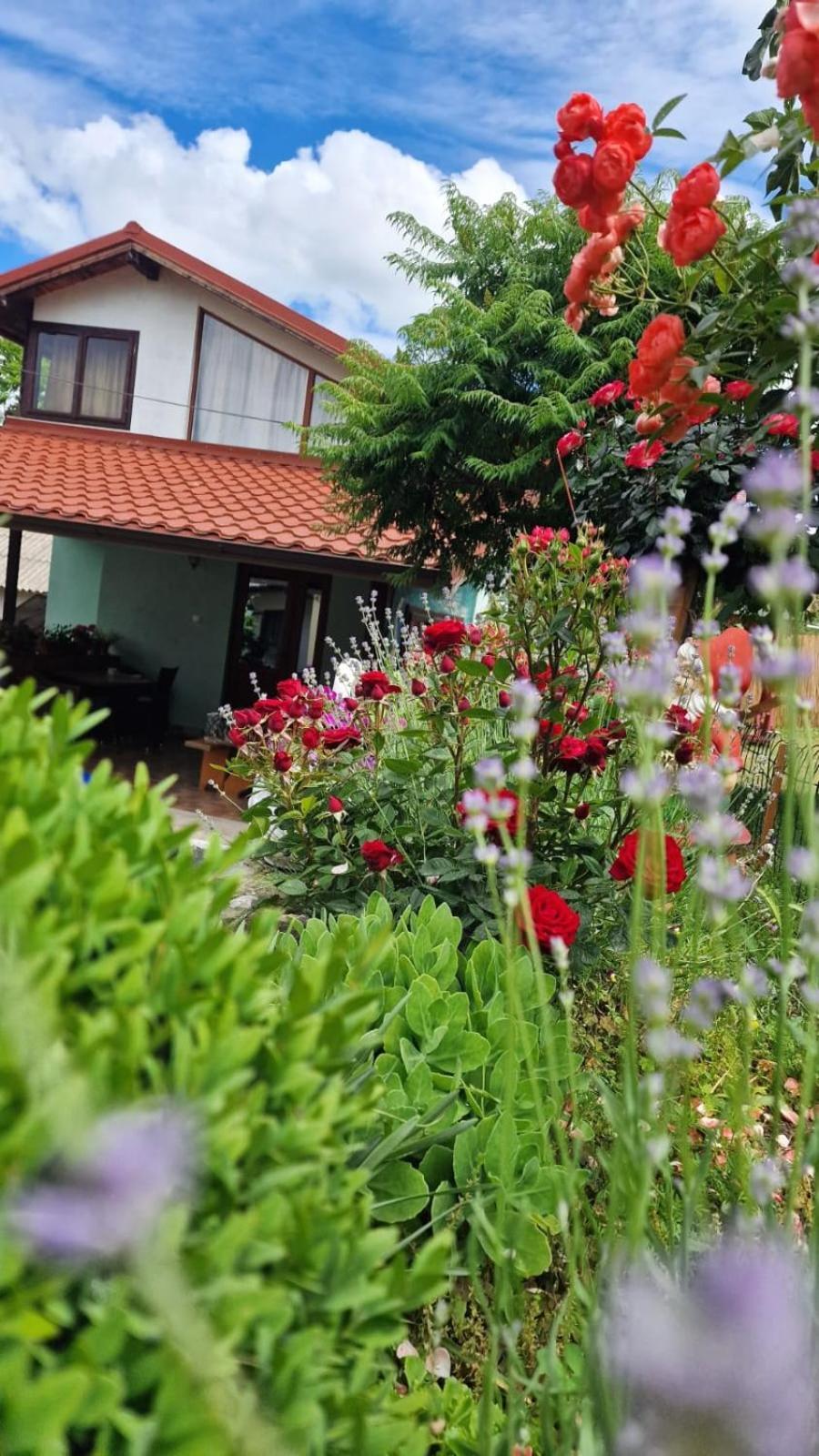 Casa Adi Si Maria Hotel Mahmudia Kültér fotó