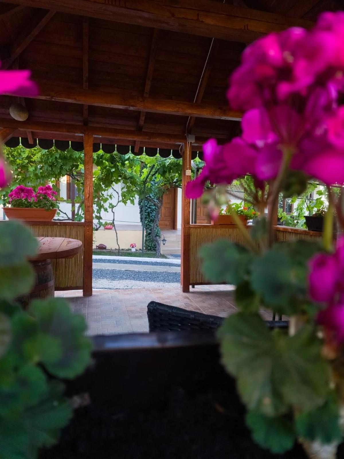 Casa Adi Si Maria Hotel Mahmudia Kültér fotó